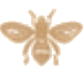 Honey Bee